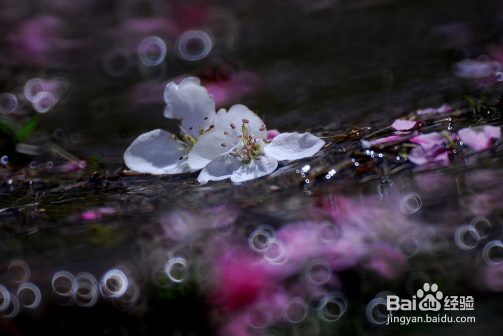 如何调整分手后的心情？