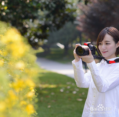 摄影入门:新手的基本操作