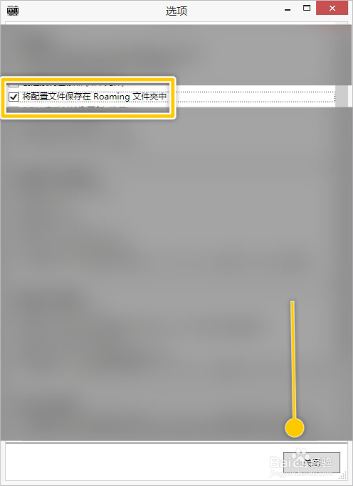 DDU如如何将配置文件保存在Roaming文件夹中