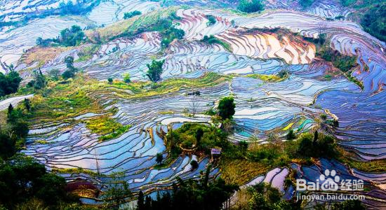 元阳梯田旅游游攻略