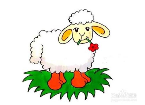 最后给小绵羊涂上漂亮的颜色吧.