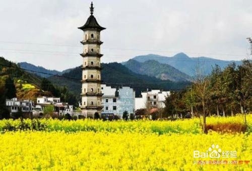 从南昌到婺源旅游攻略