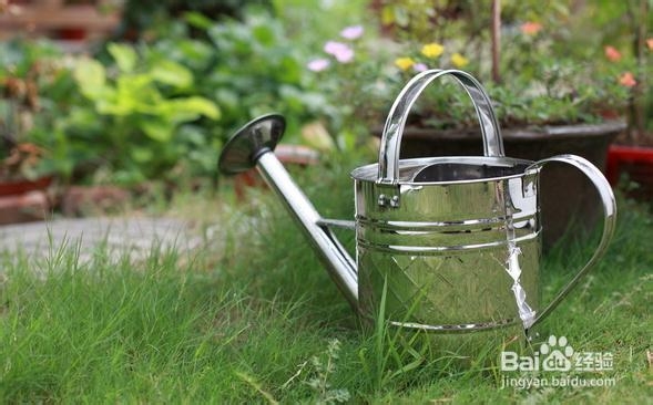 大声说出你的爱 ——和你一起挑选父亲节礼物