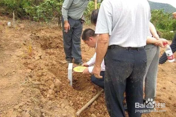 移坟后旧坑如何处理