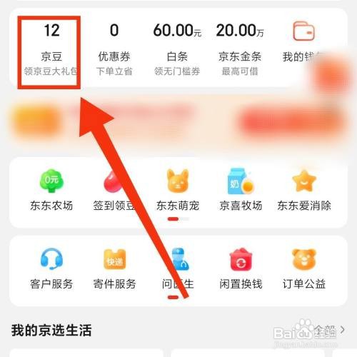 京东APP的京豆收支明细在哪查看