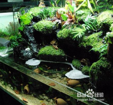 乌龟的水陆缸怎么制作