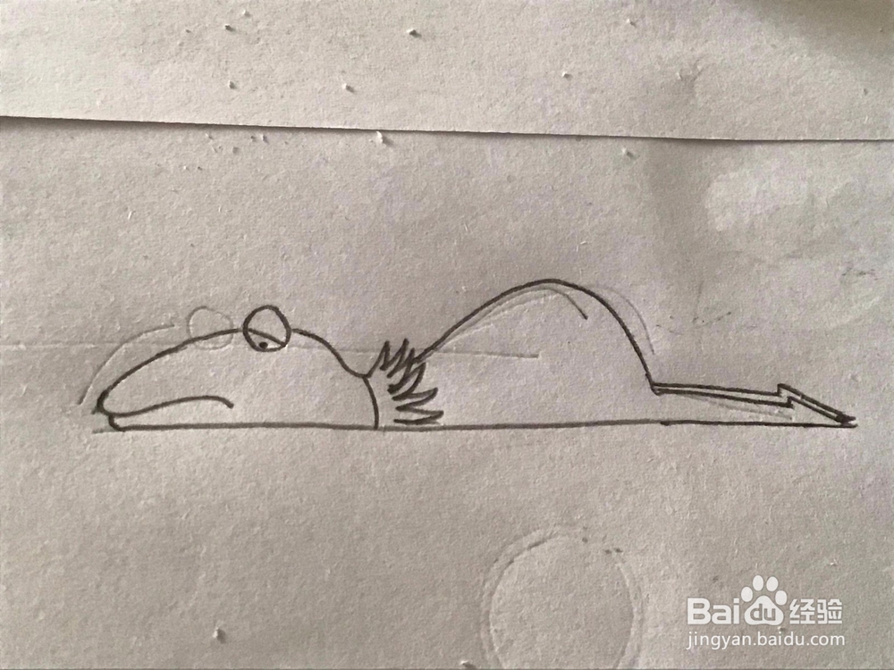 懒人青蛙 简笔画 详细绘画步骤教程!