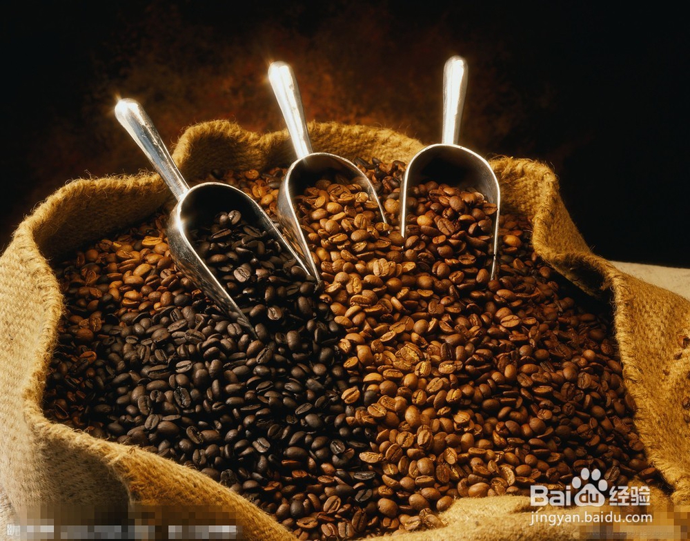 如何判断咖啡豆的好坏?