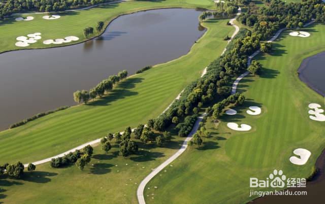 开启慢岛春天新玩法