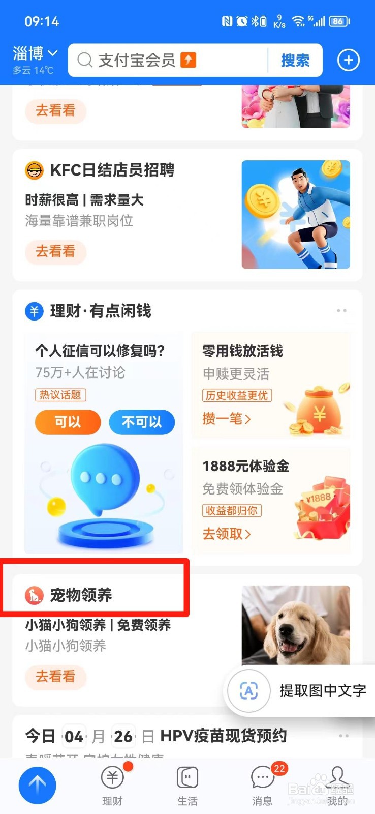 怎么在网上领养宠物