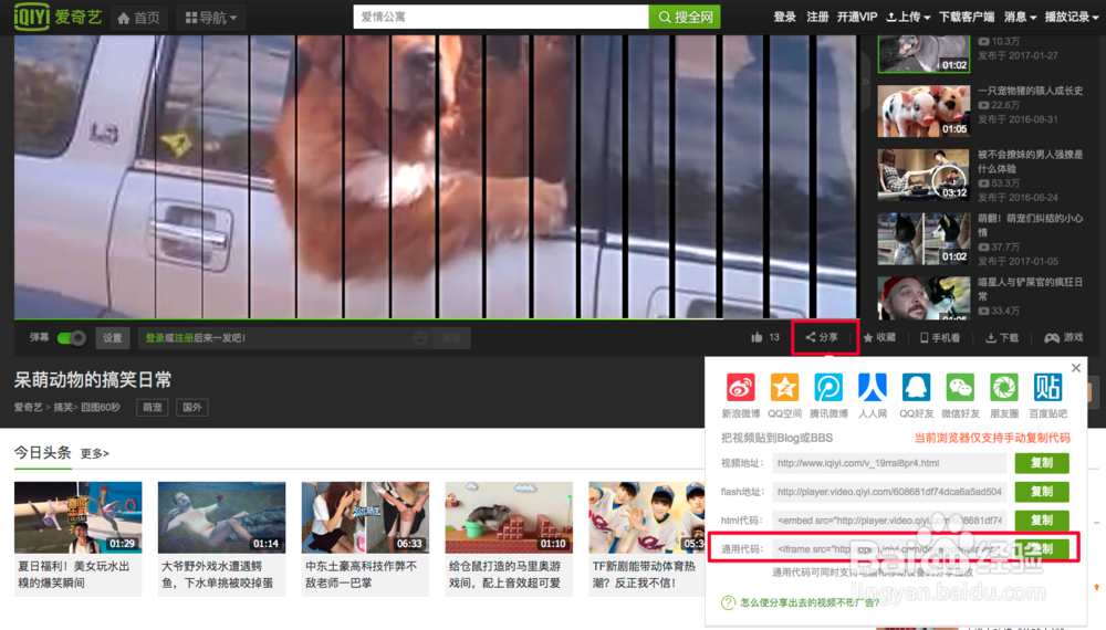 markdown 怎么链接视频