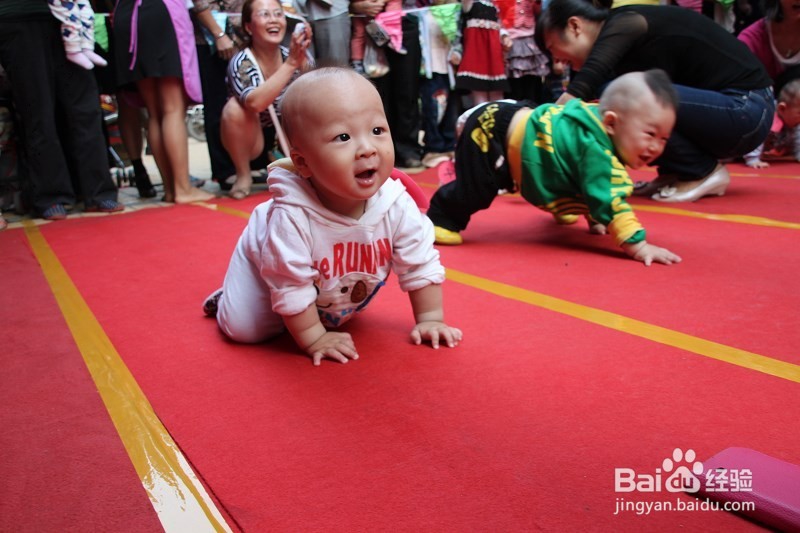 锻炼宝宝爬行健身操