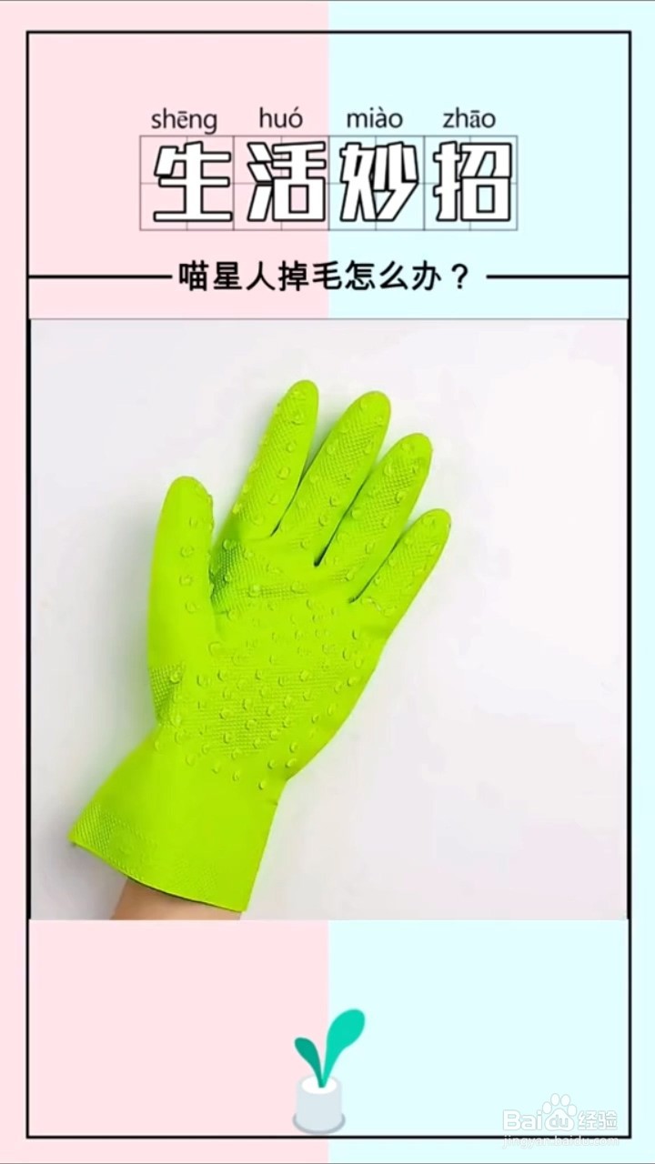 如何自制撸猫神器