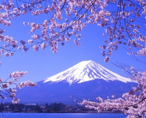 核辐射后继续去日本旅游