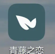 青藤之恋如何开启互动通知