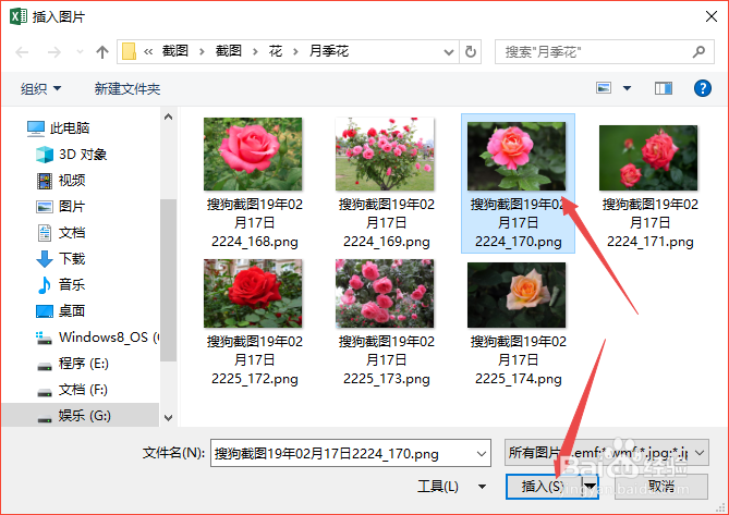 excel2019如何将插入的图片设置长宽一样