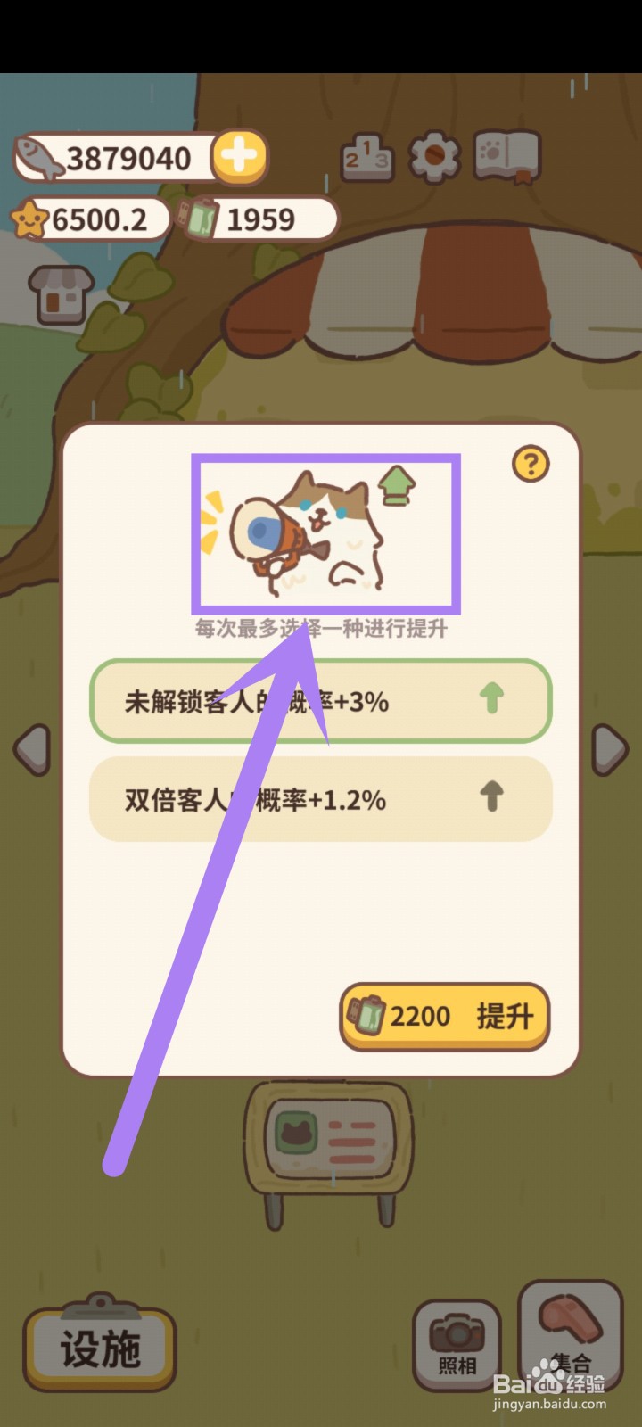 动物餐厅电台怎么升级宣传