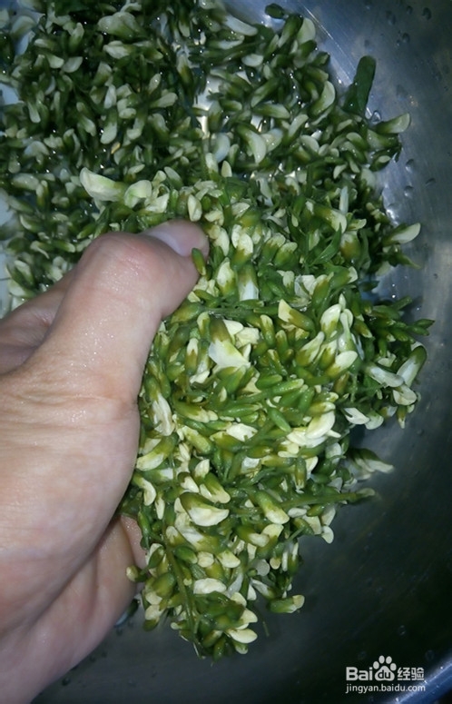 农村的风味小菜：[2]蒸槐花