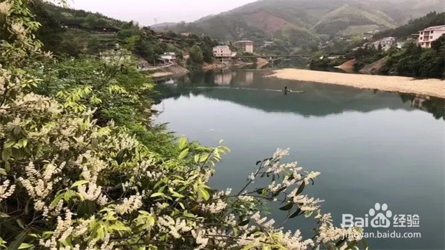 溆浦有什么好玩的地方景点