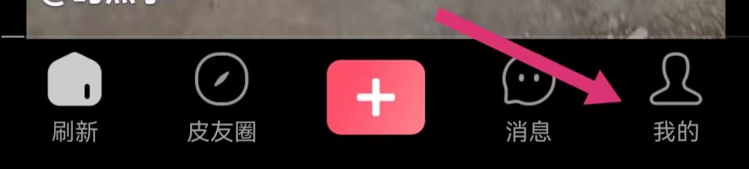 皮皮虾如何开启WIFI下视频自动播放