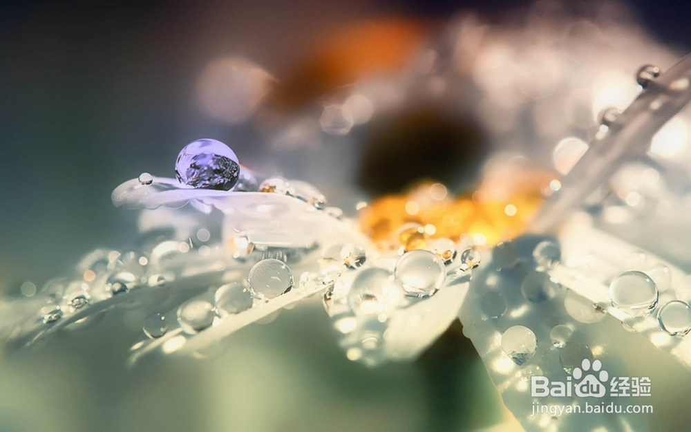 12星座如何应对七年之痒？有你要的答案