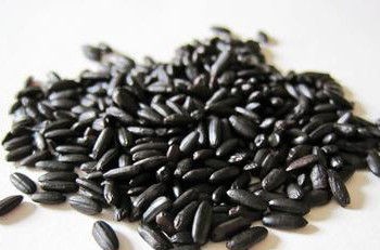 染色黑米怎样辨别