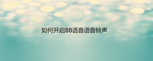 如何开启BB语音语音铃声