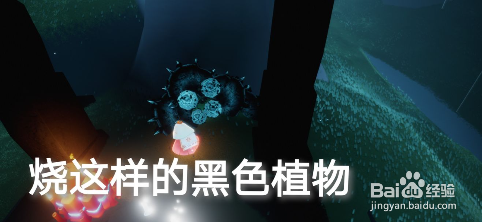 光遇2.5任务攻略