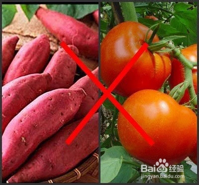 各种食物相克的总结