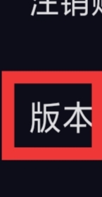 CP滴滴怎样查看版本