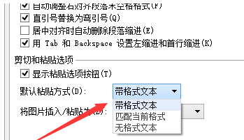 wps怎样设置粘贴无格式文本