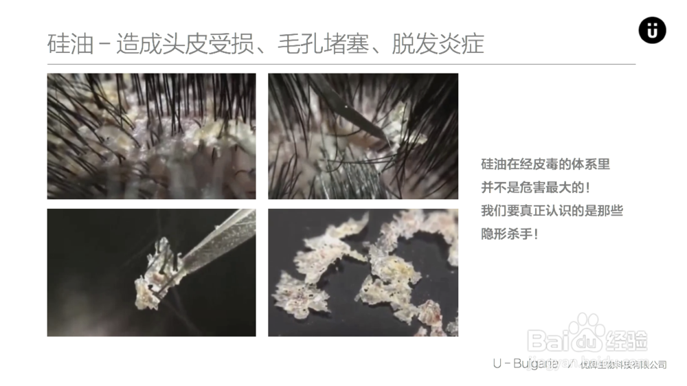 什么是经皮毒？