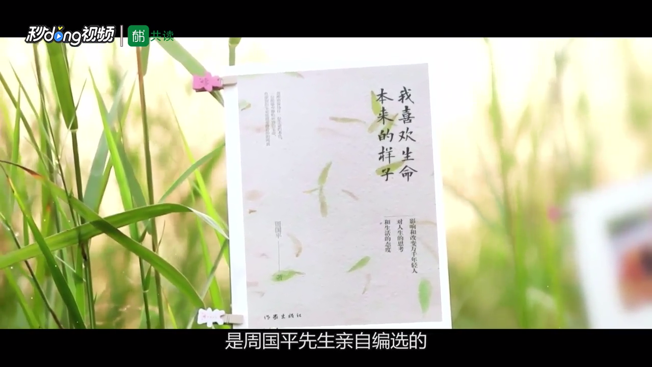 《我喜欢生命本来的样子》主要讲的是什么内容