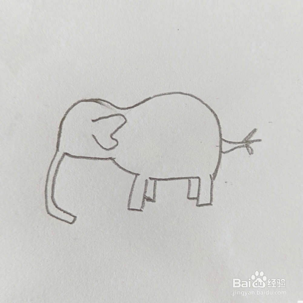 简笔画:可爱小象怎么画