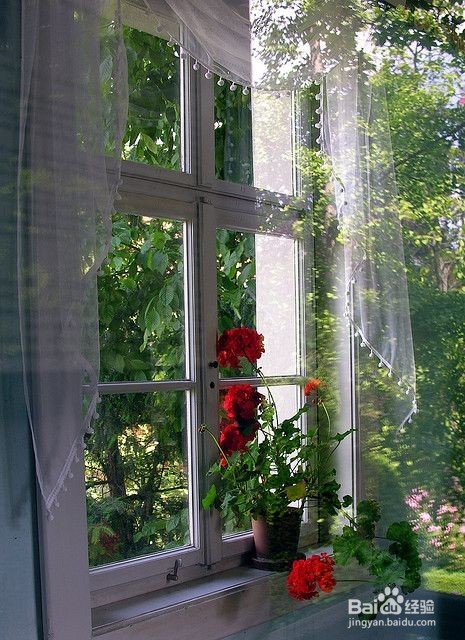 除甲醛土方法不靠谱,如何正确除甲醛