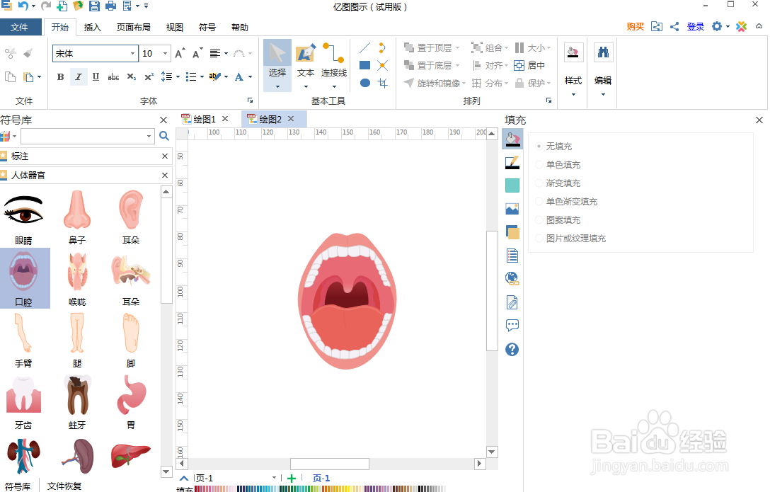 如何在亿图图示中创建口腔图