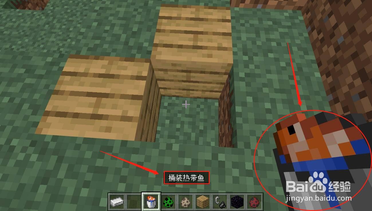 我的世界热带鱼桶怎么做
