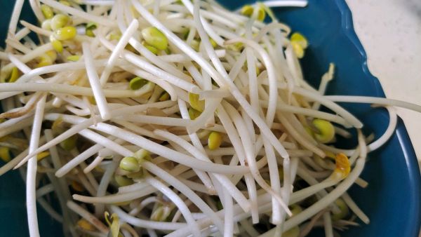 韮菜鸡蛋豆芽炒粉条