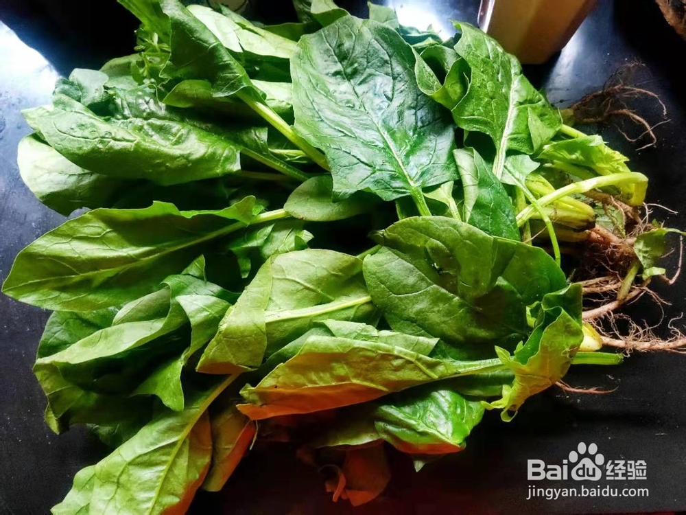 蚝油菠菜---便秘小菜谱