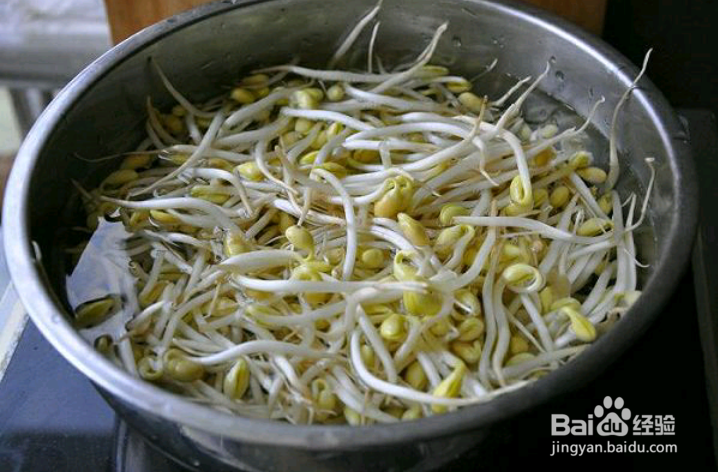 冬日必备——豆芽炖粉条