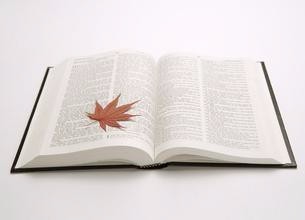 四级阅读方法技巧