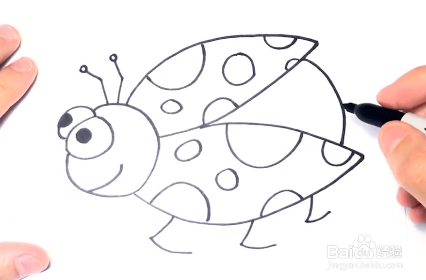 甲壳虫简笔画虫子图片
