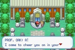 口袋妖怪圣灰攻略图片6