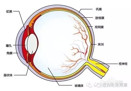 视力差不是因为看书多，是你没做到这些。。。。