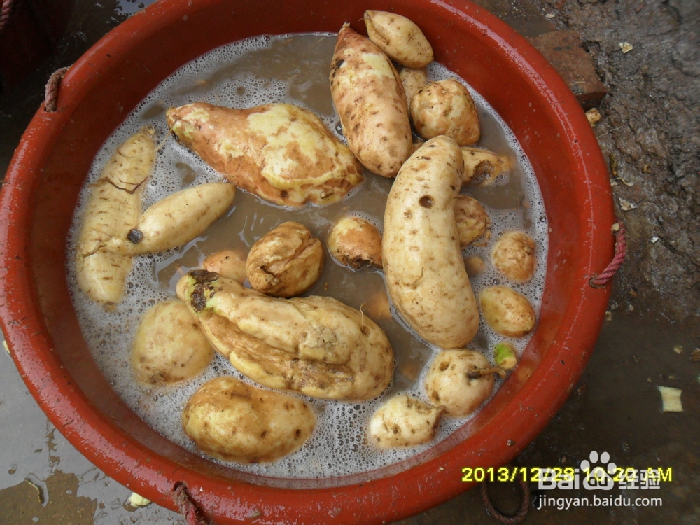 家庭自制地瓜粉(番薯粉)