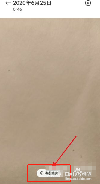 红米k40动态照片怎么拍