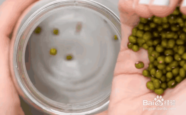 如何在家体验绿色健康的半农生活？