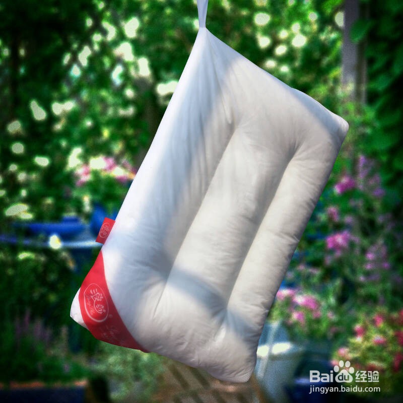 怎么晒枕头才除螨？