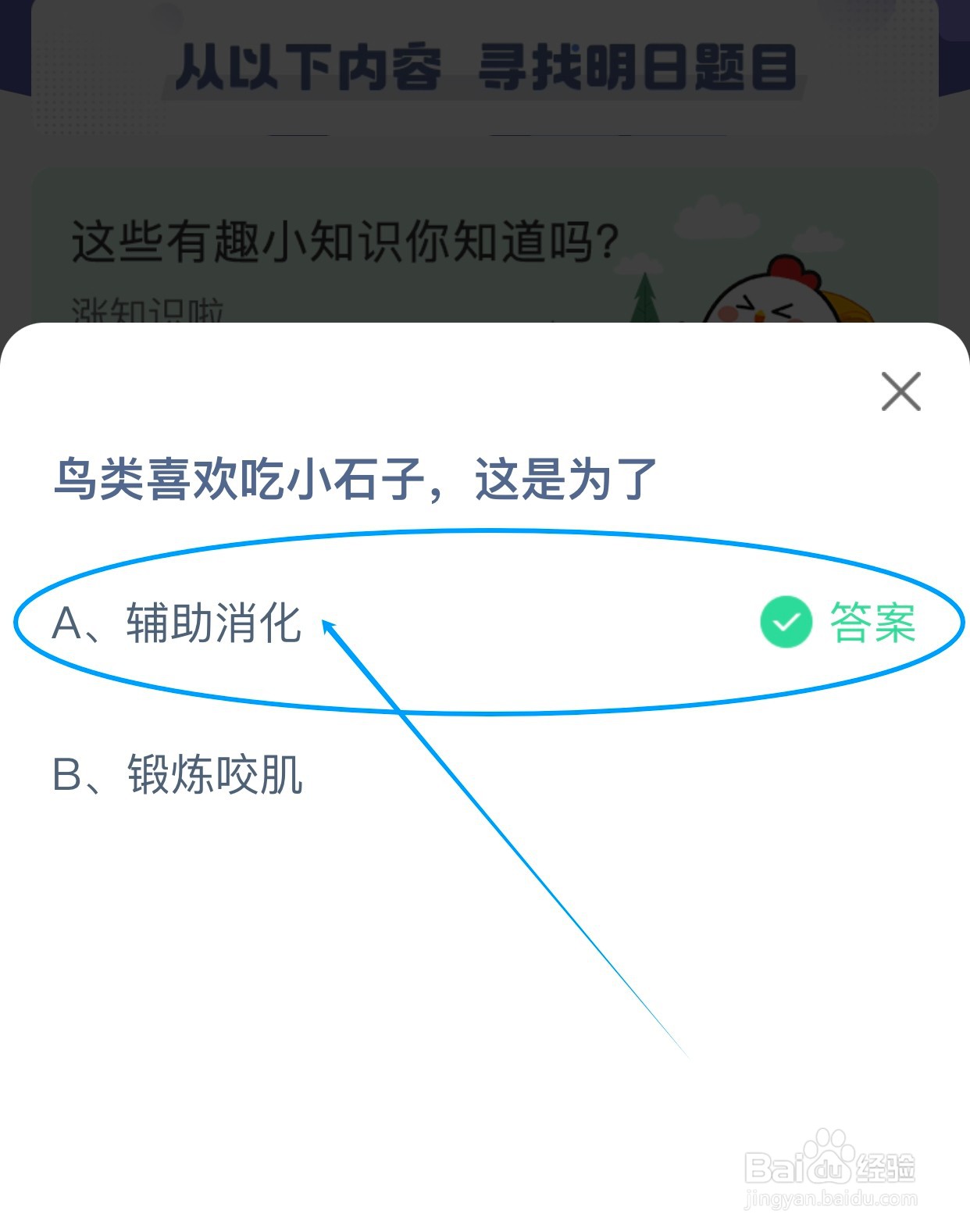 蚂蚁庄园：鸟类喜欢吃小石子这是为了？