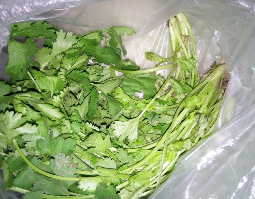 香菜凉拌红萝卜最简单的做法，快来学学吧！